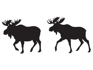 MOOSE SILHOUETTE
