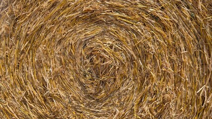 CloseUp Image of Spiraled Hay Bales Located in a Beautiful Field Setting Outdoors