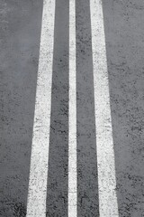 Gray Asphalt Road Surface with Three White Stripes Vector Background