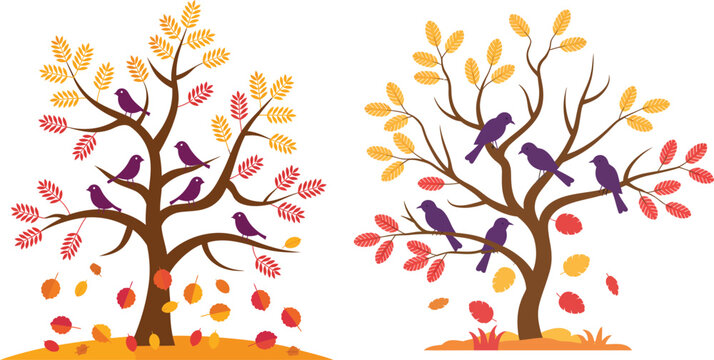 Autumn trees with birds vector illustration set. Stylized seasonal fall scene with colorful falling leaves for decorative cards and nature-themed designs.
