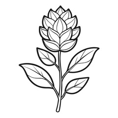 black and white flower