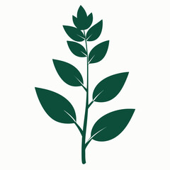 green leaves isolated on white