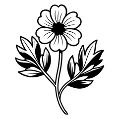 silverweed-flower-line-art-on-white-background