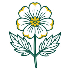 yellow flower on white background