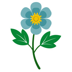 silverweed isolated on white background