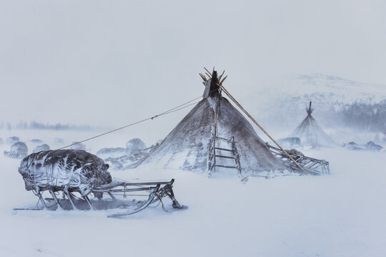 View of a reindeer-pulled sled rests near a chum under a gray sky in a snow-covered landscape, Salekhard, Yamalo-Nenets Autonomous Okrug, Russia.
