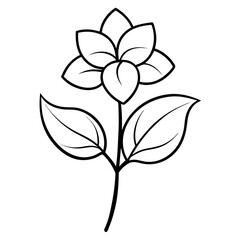 vector black and white flower