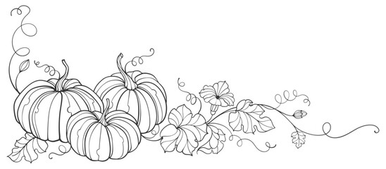Pumpkin line art style vector illustration