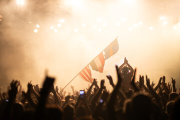 Crowd at concert and blurred stage lights.