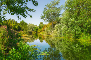 View along the beck (canal) on summer morning. Beverley, UK.