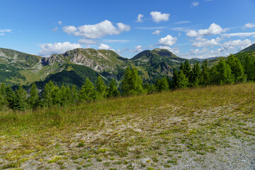 Obraz premium Sommer in Käörnten