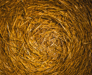 close-up of a round hay bale showing spiral straw texture 