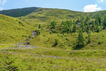 Naklejka premium Sommer in Käörnten