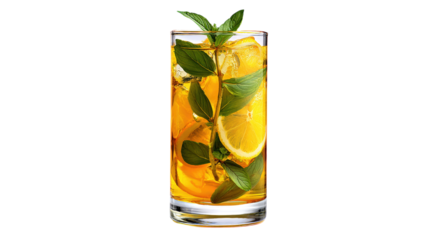 Lemon and Mint Infused Drink with Ice Cubes