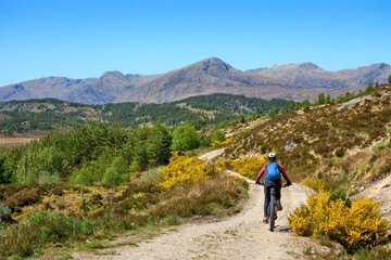 Obraz premium nice senior woman riding her electric mountain bike in the highlands of Glen Affric Nature reserve, Scotland, UK
