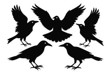  Silhouette Wild Crows Bundle – 5 Unique Poses Flying, Pecking, Perching & Fighting.