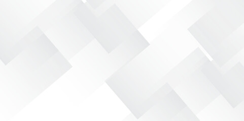 Obraz premium Light Gray and White Abstract Vector Background for Corporate Web Design, Presentations, and Elegant Layouts 