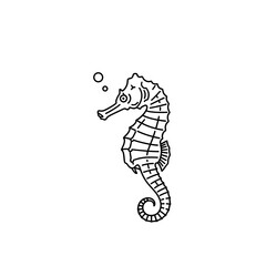 Fototapeta premium Detailed Black and White Seahorse Floating with Bubbles Underwater
