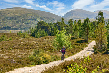 Fototapeta premium nice senior woman riding her electric mountain bike in the highlands of Cairn Gorms National Park , Scotland, UK