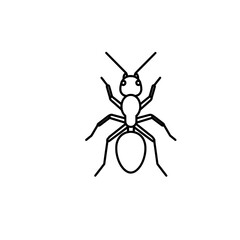 Obraz premium Minimalist black and white illustration of an ant in top view with detailed legs and antennae