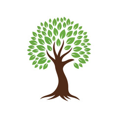 Obraz premium Isolated tree with green leaves and a brown trunk symbolizes growth on a white background