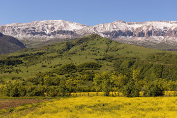 Yellow fields at the foot of Mount Shahdag.