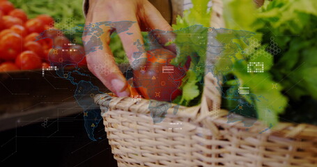 Reaching hand selecting tomato and greens from wicker basket at stall with digital map overlay