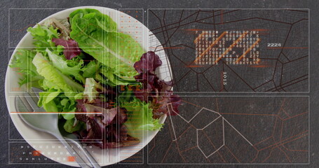 Featuring white bowl with green-purple lettuce, steel fork on tabletop with map overlay, copy space