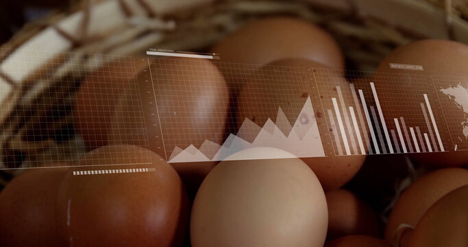 Presenting brown and cream eggs nestling in wicker basket in kitchen, with digital graphs overlay - Powered by Adobe