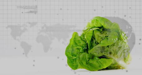 Displaying vibrant green lettuce head at right on white tabletop, with dotted data map, copy space