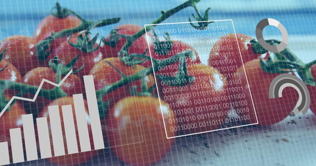 Displaying cherry tomatoes on vine on light surface, with digital analytics overlay
