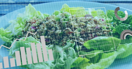 Displaying lettuce salad with grain mix in studio under binary code chart and progress overlays