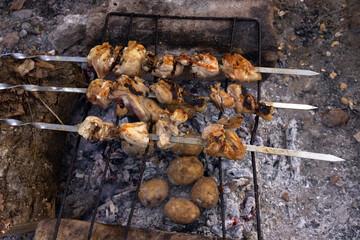 Chicken shashlik on coals in the forest.