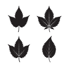black silhouette nettle leaf set bundle on white background