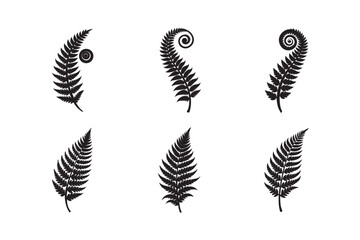 silhouette black fern frond spiral on white background