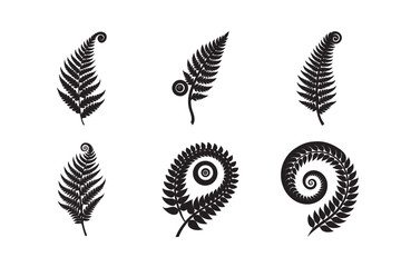 silhouette black fern frond spiral on white background