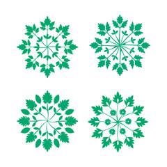 Lemon Balm Botanical Herb Mandala Design