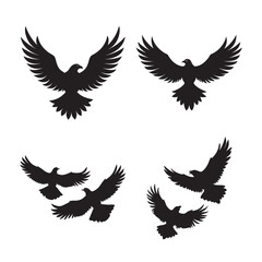 Obraz premium black silhouette soaring eagle set bundle on white background