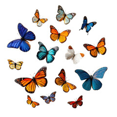 Colorful butterflies arranged in a circular design against a black background