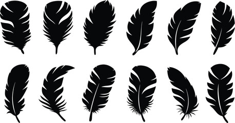 Obraz premium Black Feather Silhouettes Isolated on White, Minimal Flat Vector Collection