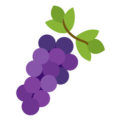 Grapes on Vine Vector Food Printable Graphic for Kitchen Decor