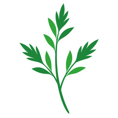 Fototapeta premium Herb Sprigs Vector Food Printable Graphic for Kitchen Decor