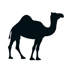camel clipart