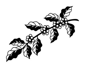 Black and white coffee branch with berries silhouette © Graphics Dot