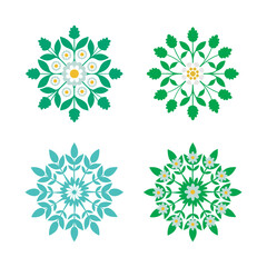 Feverfew Flower Botanical Mandala Art Bundle