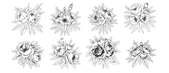 Elegant Peony Collection: Eight exquisite line art illustrations of peony flower bouquets, showcasing delicate petals and lush foliage in a monochrome style. © Bundle Master