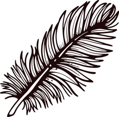 Obraz premium Intricate hand drawn feather illustration with detailed vintage engraving isolated on white background