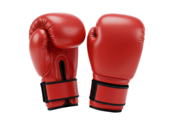 Red Boxing Gloves Pair Sports Fighting Combat Training Workout Exercise