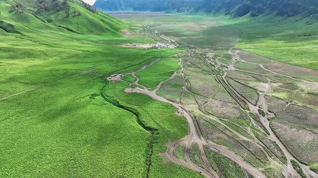 A vast expanse of rolling green savanna, known as Teletubbies Hill at Mount Bromo, is dissected by a winding, dry riverbed creating a stunning natural pattern.