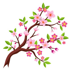 Cherry Blossom Branch Vector
